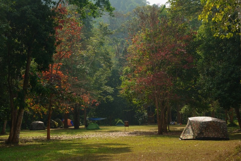 Can You Camp In National Parks 